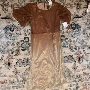 Taylor Ombré Shimmer Dress